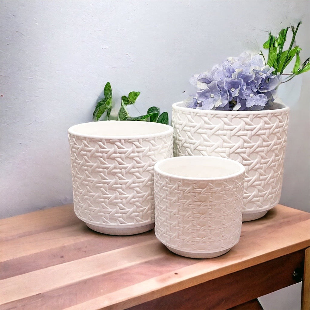 Woven-Cane Ceramic Planters