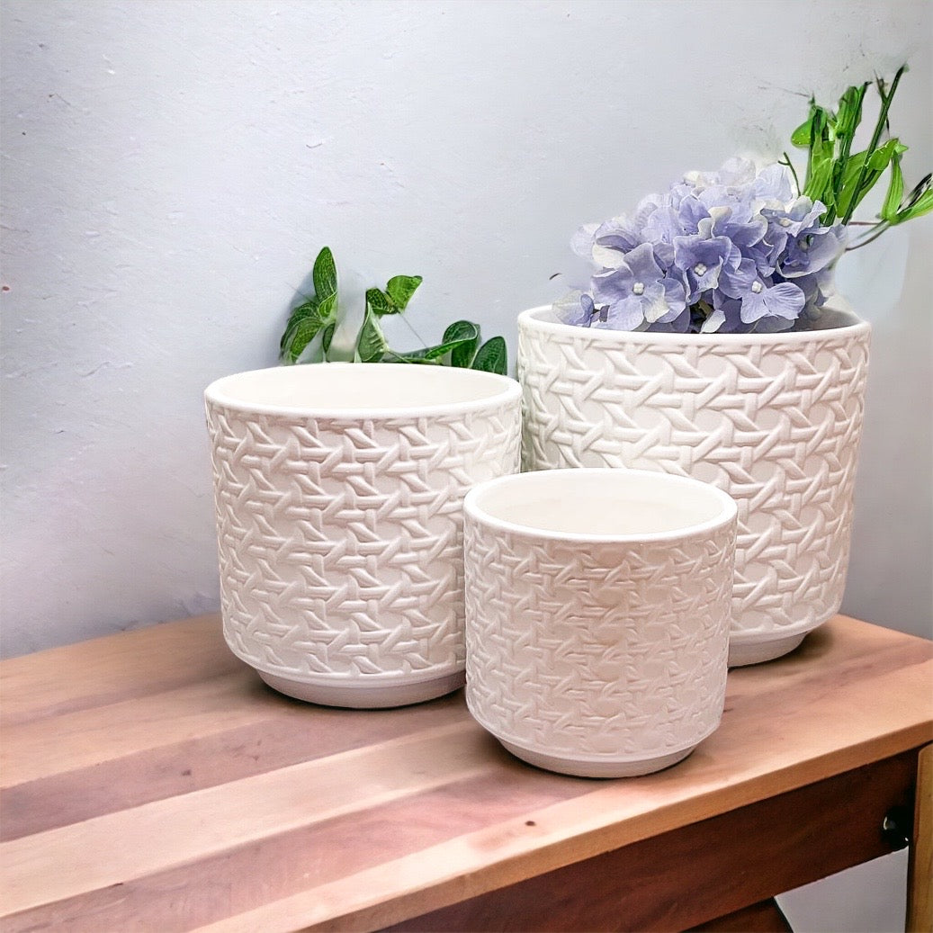 Woven-Cane Ceramic Planters