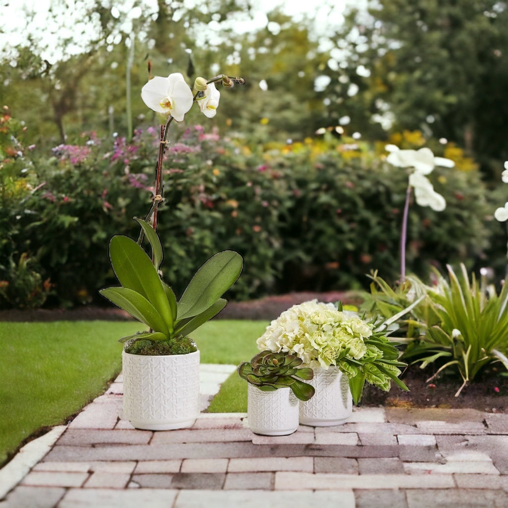 Woven-Cane Ceramic Planters