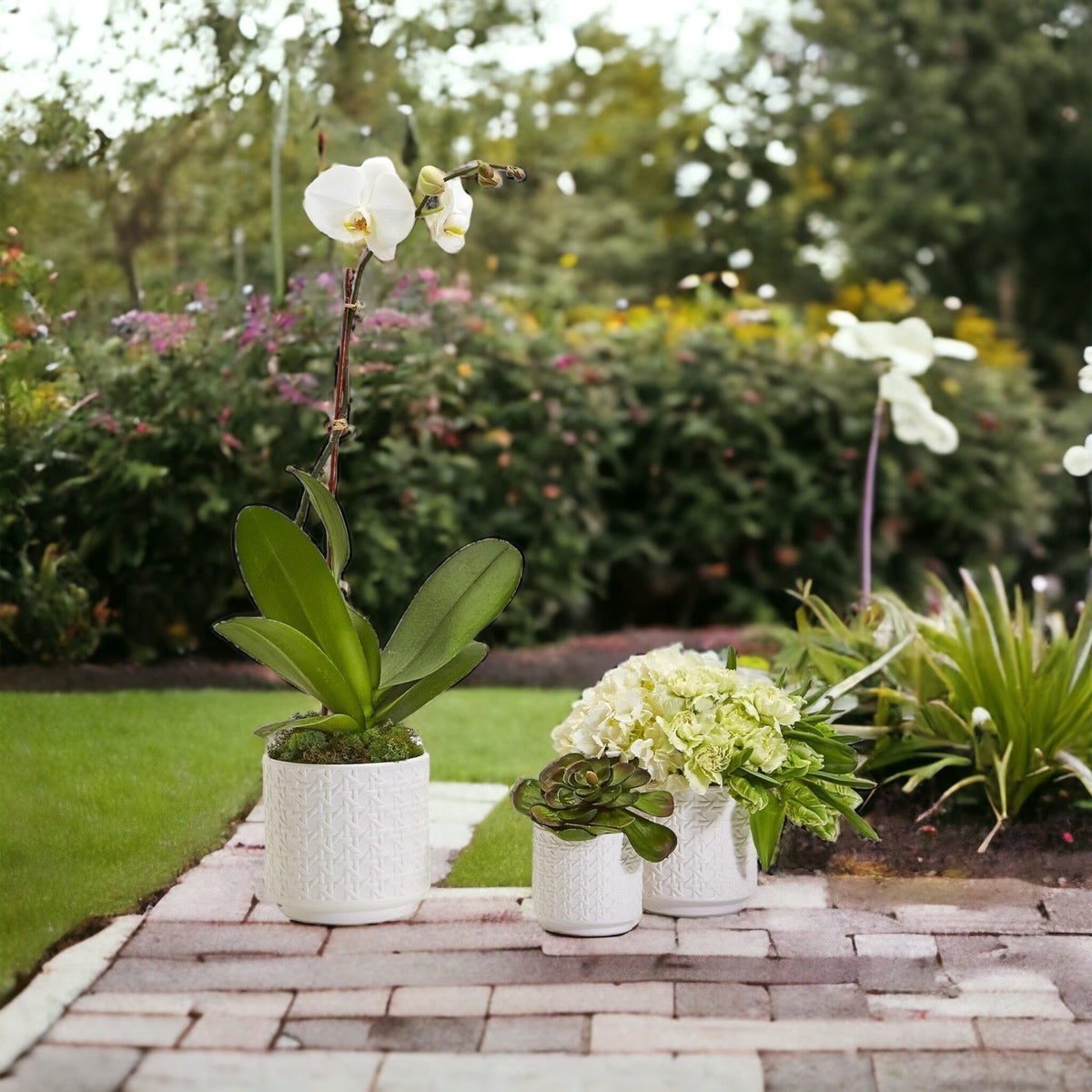Woven-Cane Ceramic Planters