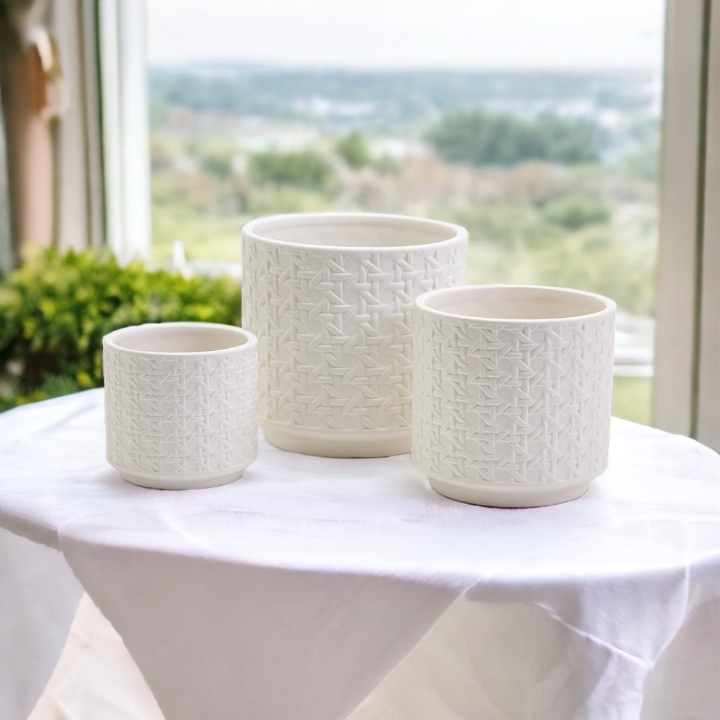 Woven-Cane Ceramic Planters