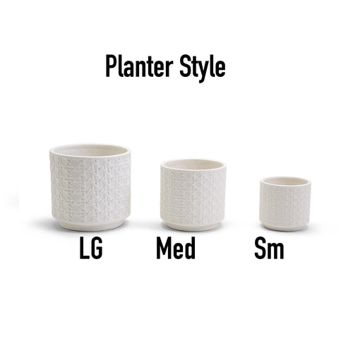 Woven-Cane Ceramic Planters